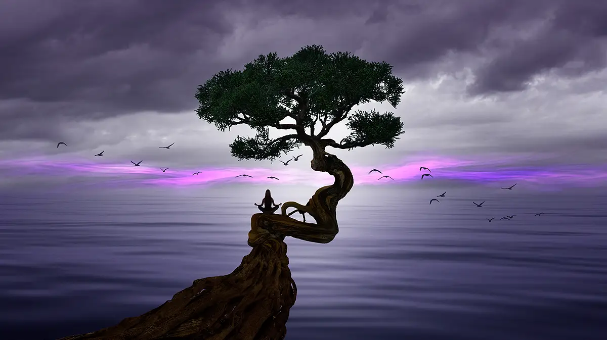 Audio Meditation – der Baum und die Kraft